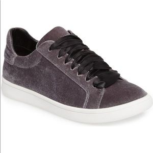 sam Edelman velvet sneaker
